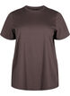 Basic cotton T-shirt with round neck, Brown, Packshot image number 0
