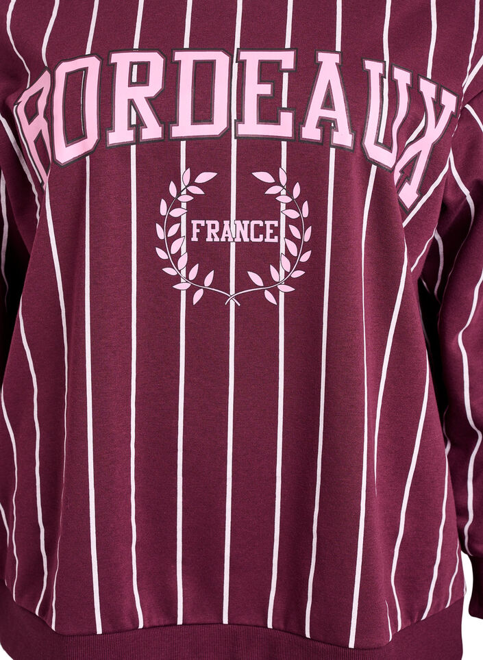 Striped sweatshirt with text print, Red, Packshot image number 2