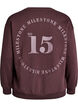 Sweatshirt with statement detail, Brown, Packshot image number 1