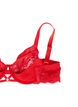 Lace bra with strings and underwire, Salsa, Packshot image number 3