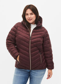 Lightweight jacket with hood, Fudge, Model