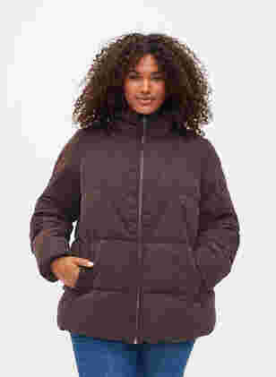 Short winter jacket with zip and high collar, Black Coffee, Model