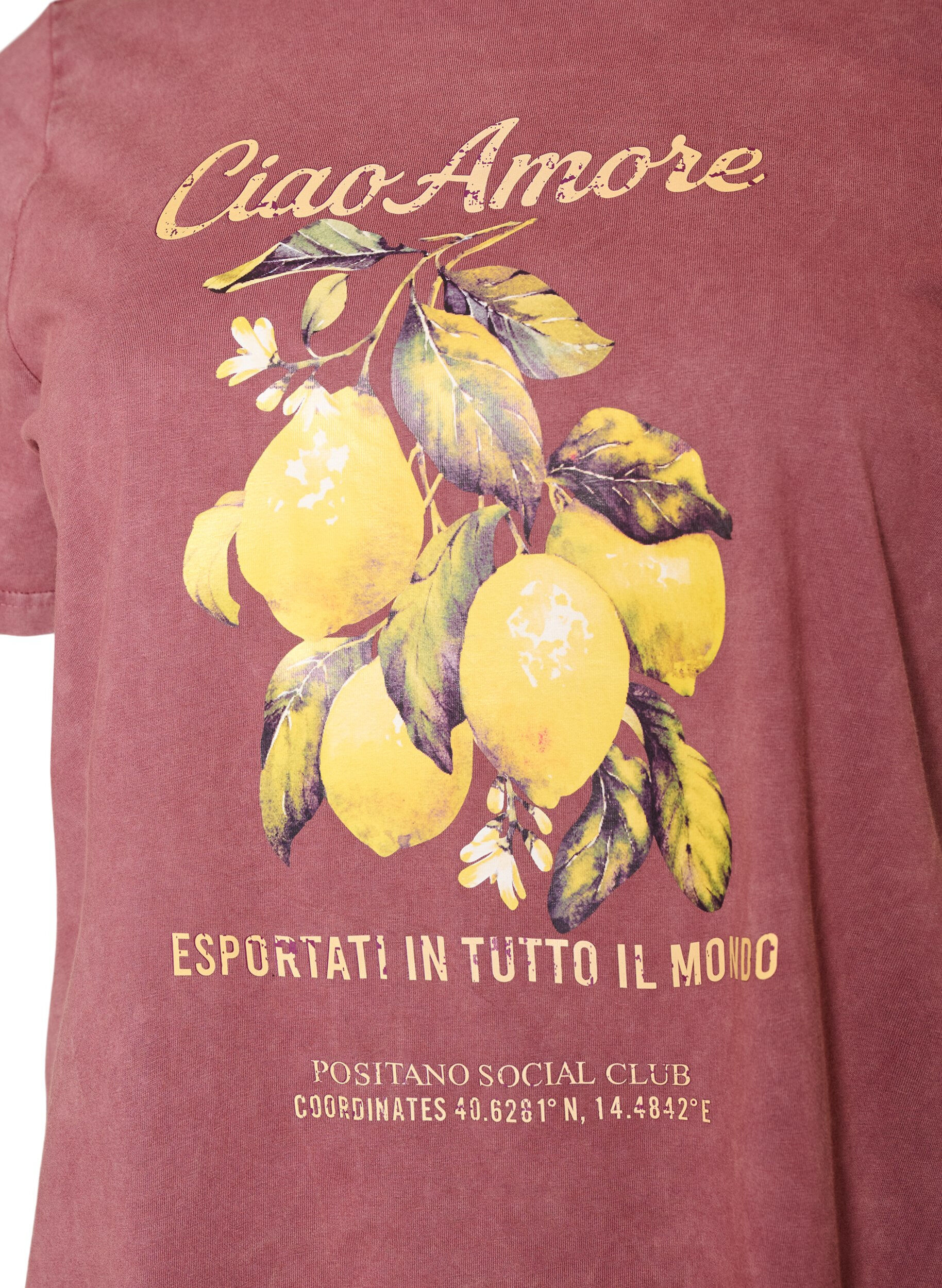 ZizzifashionCotton T-shirt with front print and a washed look, Red, Packshot image number 2