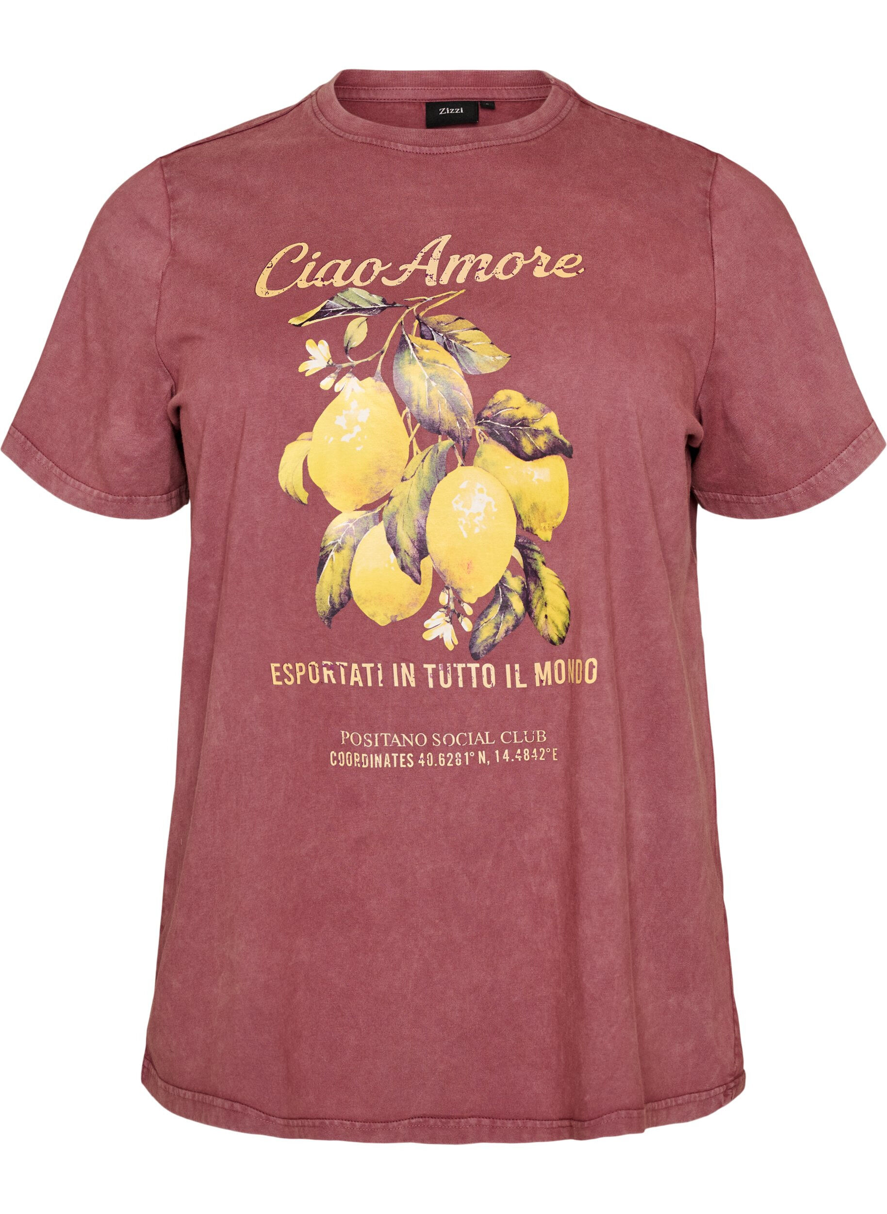 Cotton T-shirt with front print and a washed look
