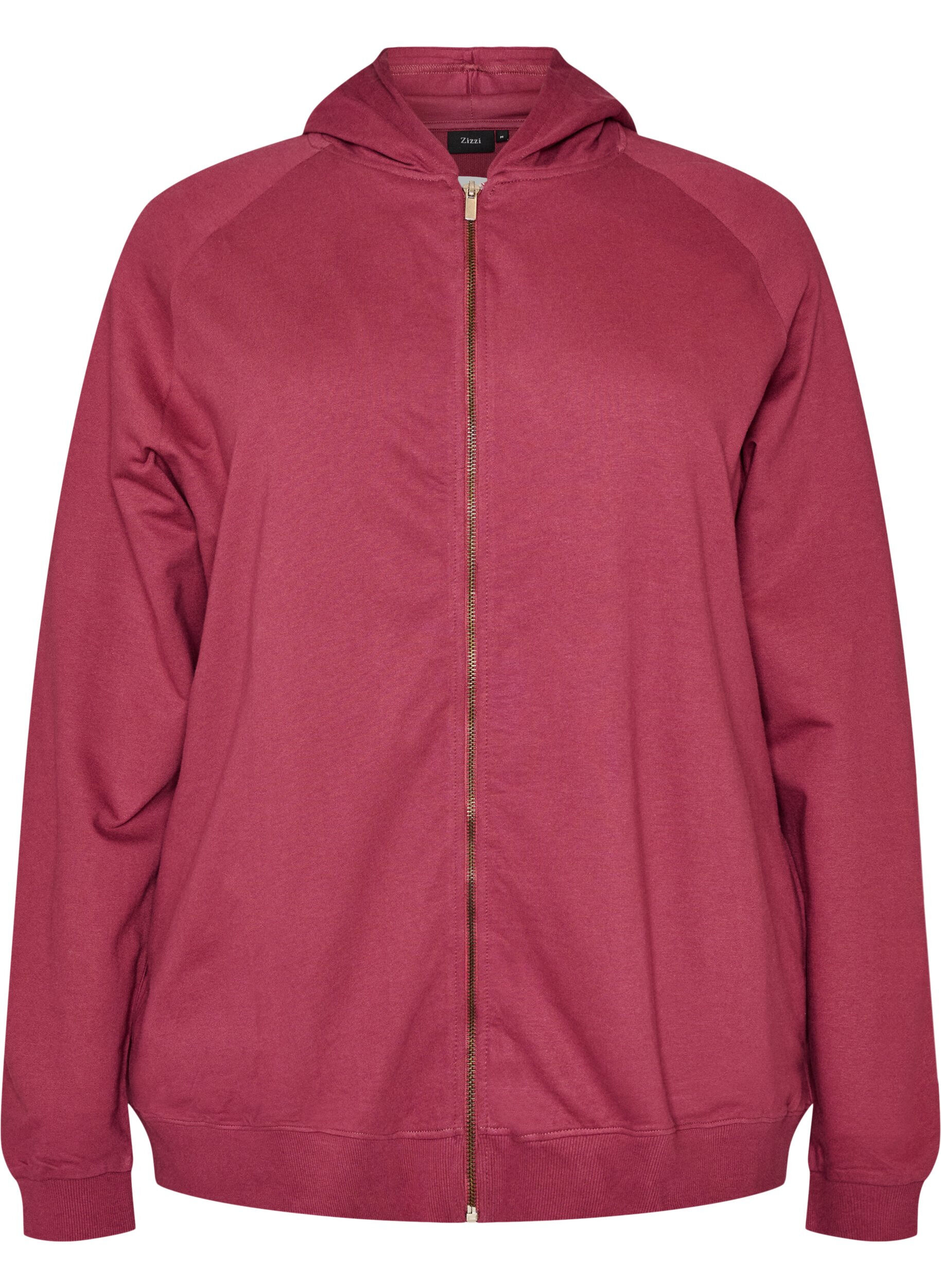 Hoodie with zipper and back print