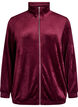 Velour cardigan with zipper and high collar, Dark Bordeaux, Packshot image number 0