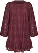 Lace dress with long sleeves and ruffle hem, Dark Bordeaux, Packshot image number 0