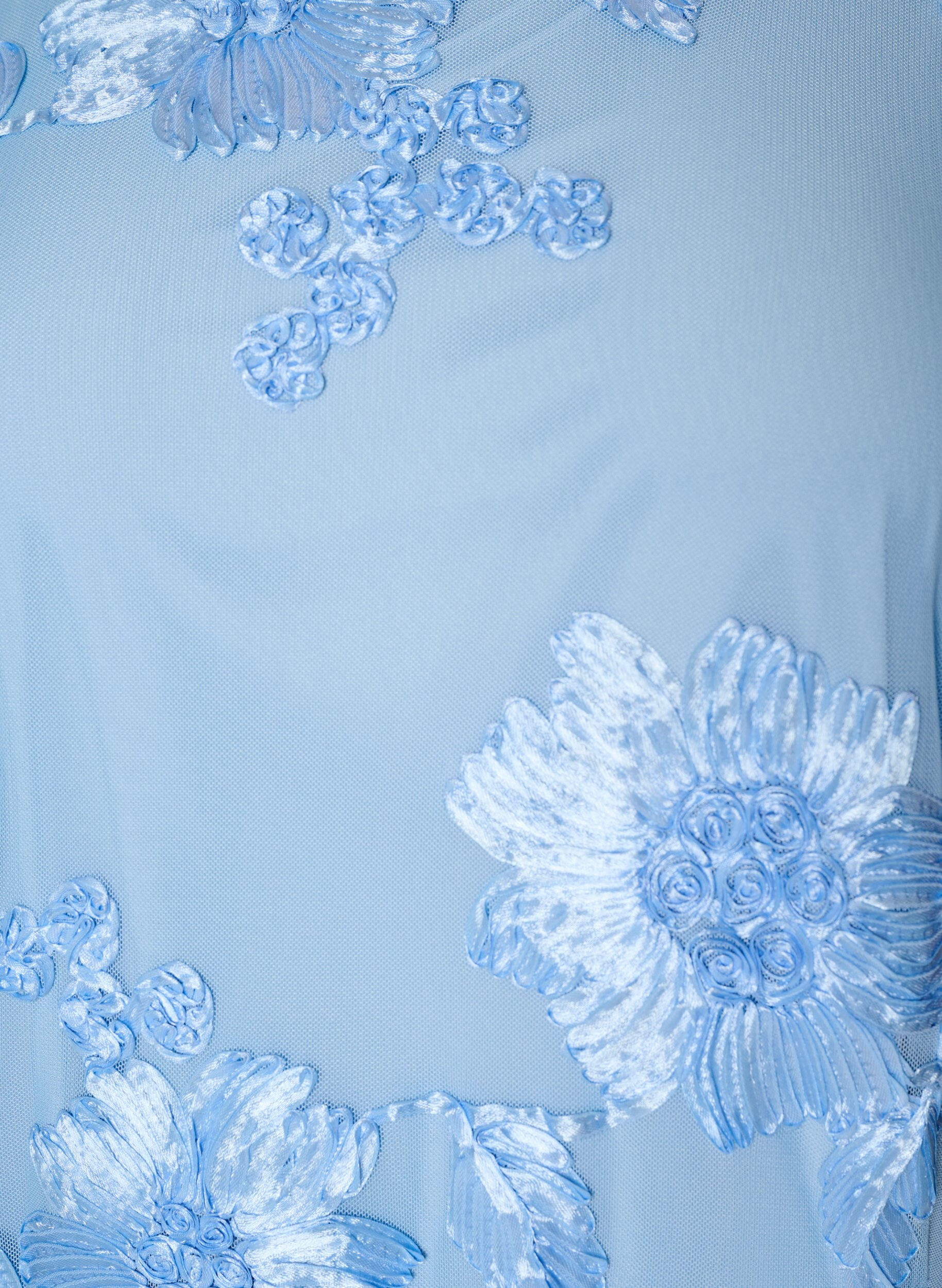 ZizzifashionMesh dress with floral appliqu&eacute;s, Light Blue, Packshot image number 2