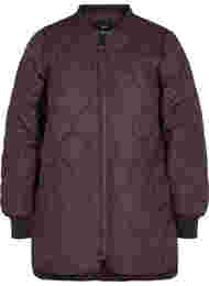 Quilted thermal jacket with zip, Black Coffee, Packshot