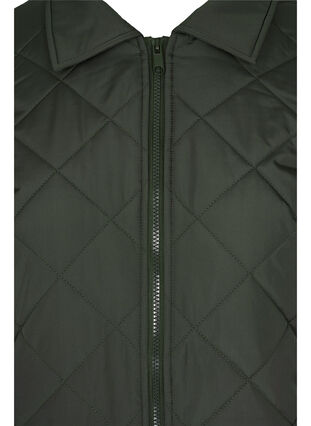 Short quilted jacket with collar, Forest Night, Packshot image number 2