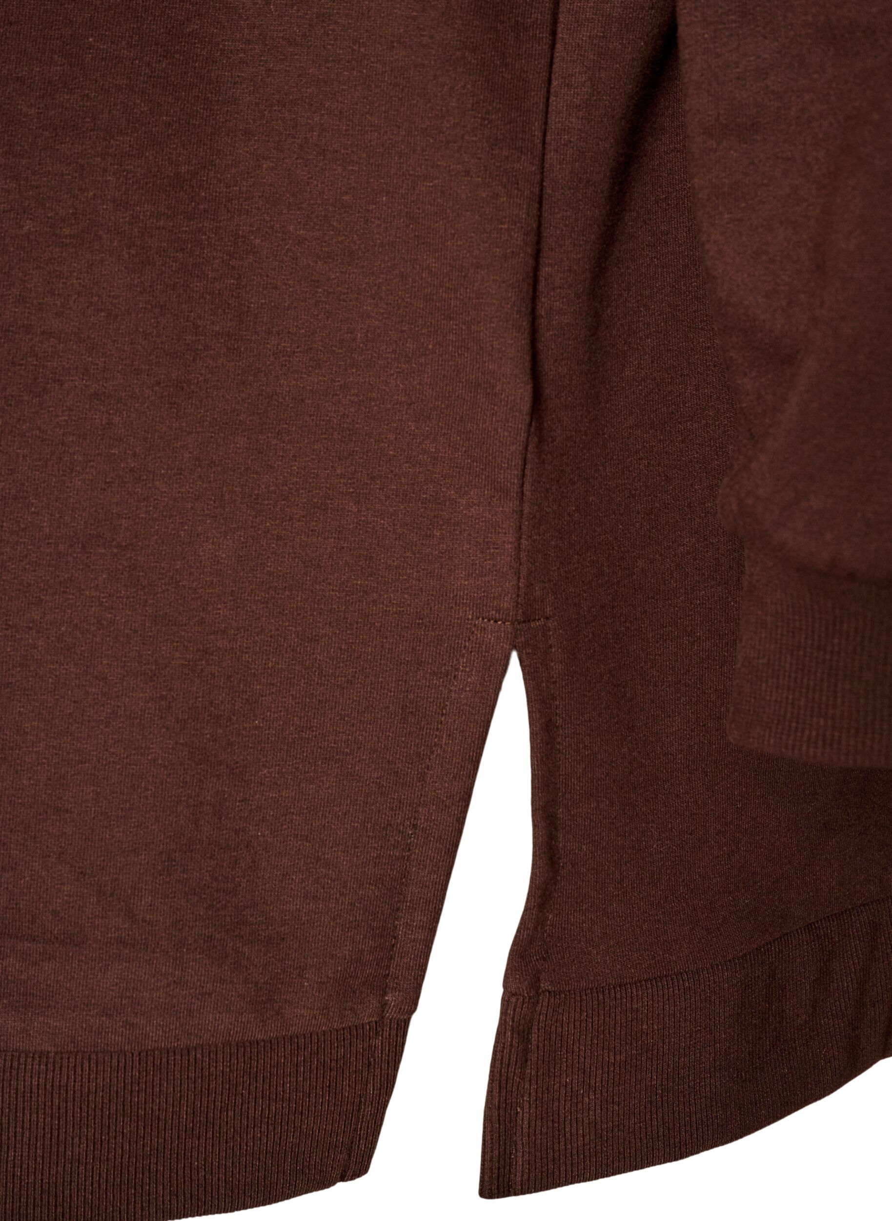 ZizzifashionHoodie with a terry text motif, Brown, Packshot image number 3