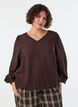 Viscose blouse with V-neck and balloon silhouette, Brown, Model image number 0