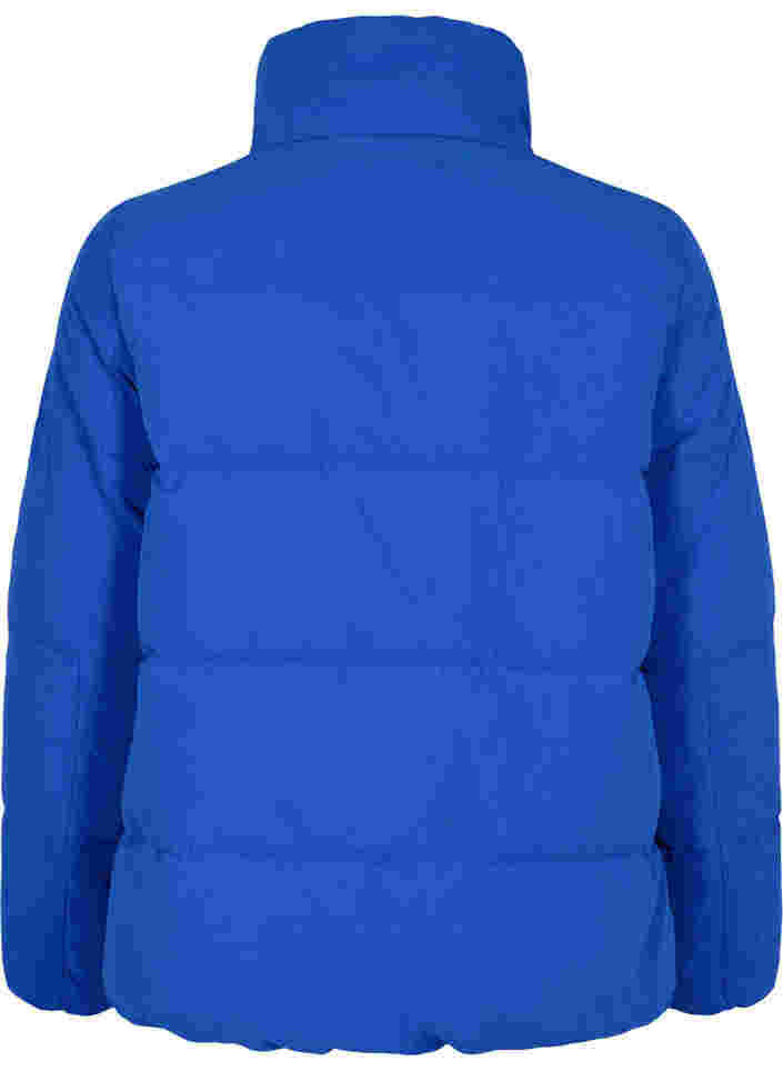 Short winter jacket with zip and high collar, Surf the web, Packshot image number 1