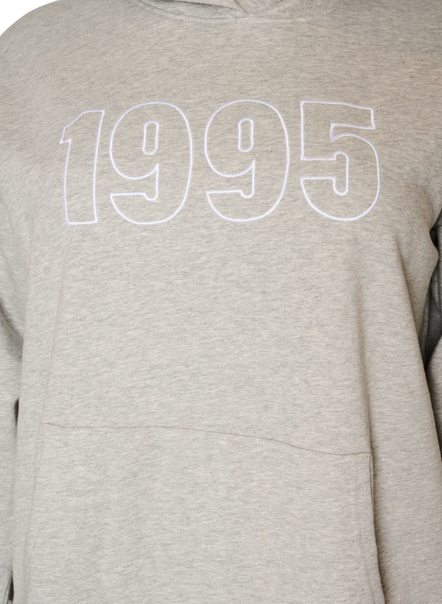 ZizzifashionHoodie with embroidered motif, Grey, Packshot image number 2