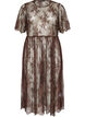 Sheer lace midi dress with short sleeves, Brown, Packshot image number 0
