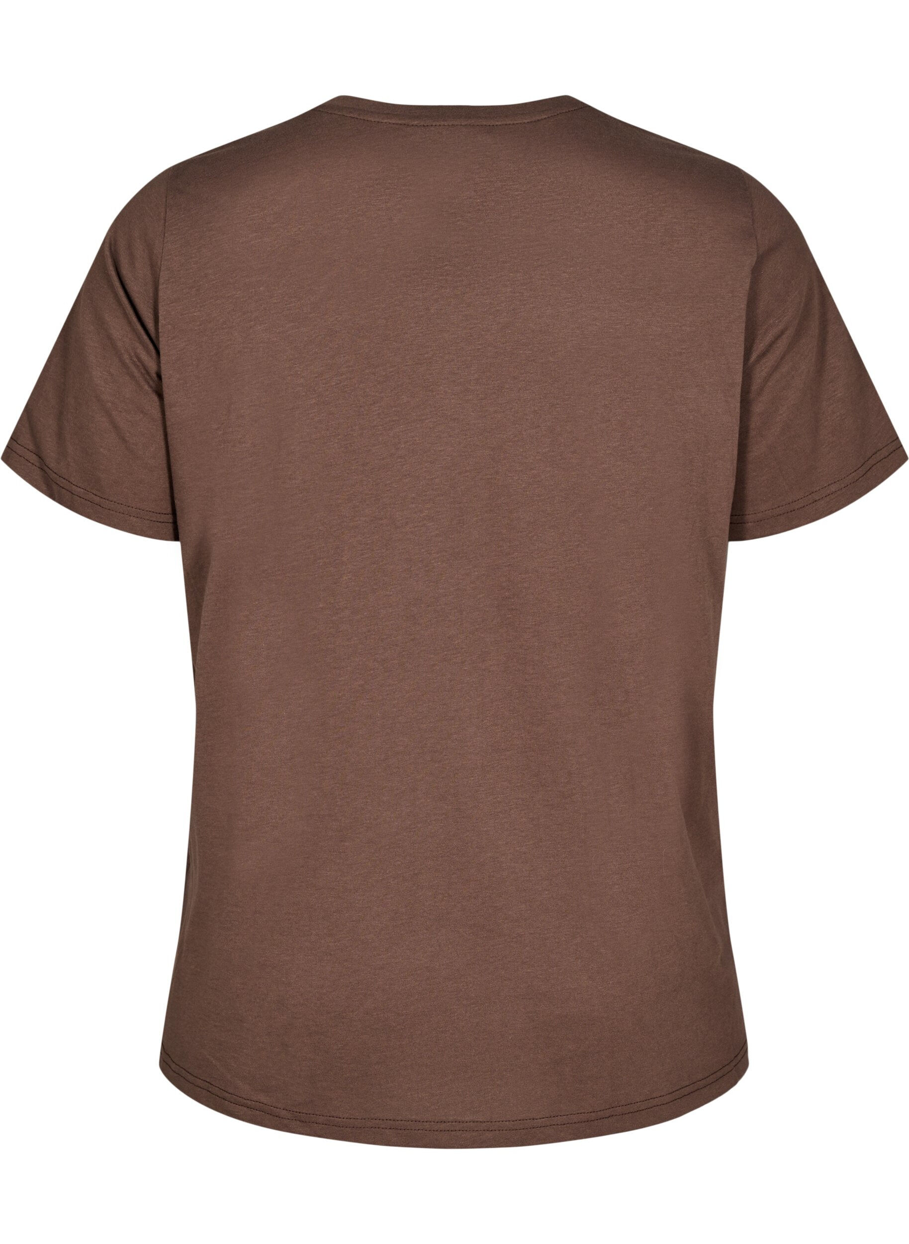 Zizzifashion FLASH - T-shirt with motif, Brown, Packshot image number 1
