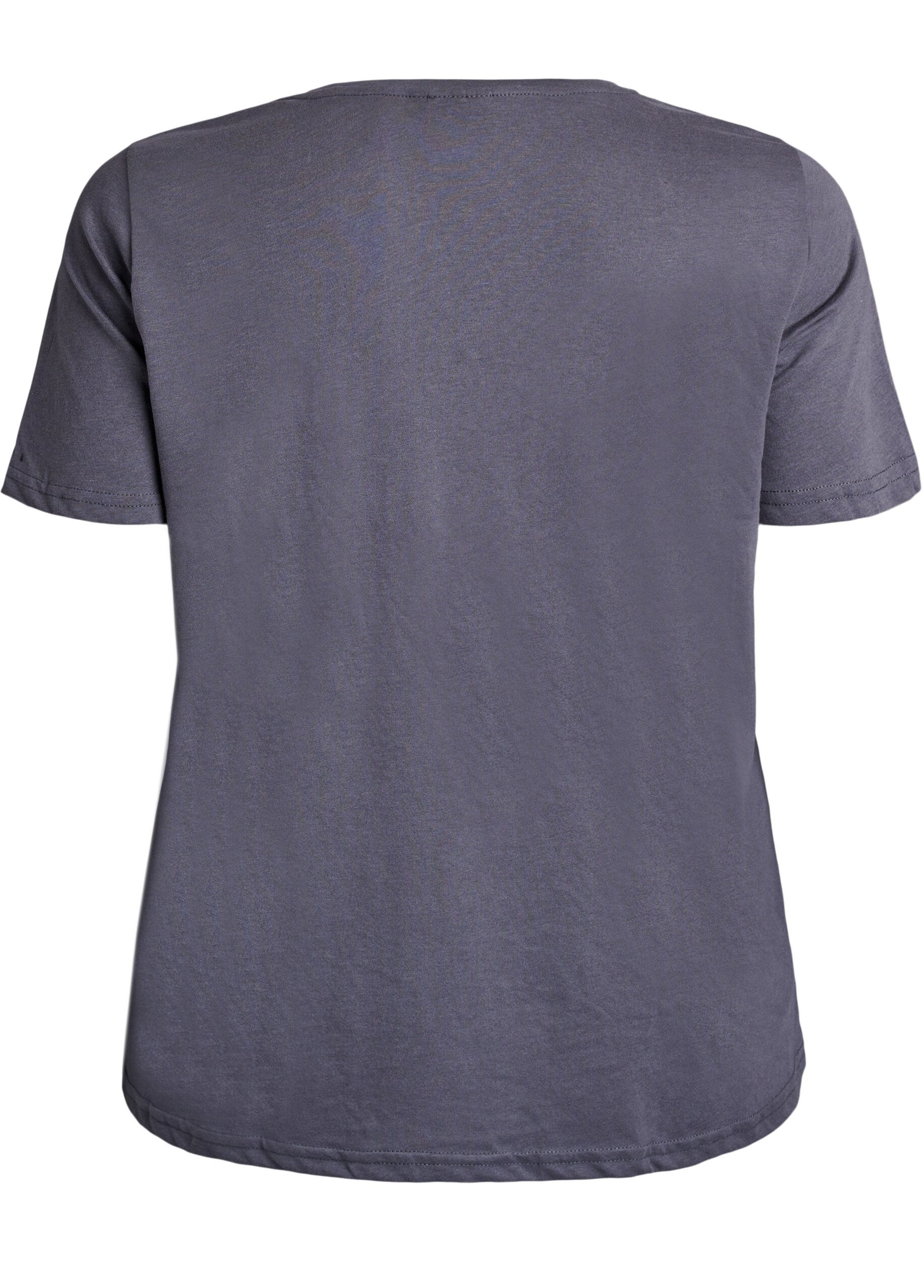 Zizzifashion FLASH - T-shirt with motif, Grey, Packshot image number 1