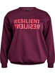 Sweatshirt with front motif, Red, Packshot image number 0