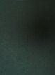 Long-sleeved basic T-shirt with round neck, Green, Packshot image number 2