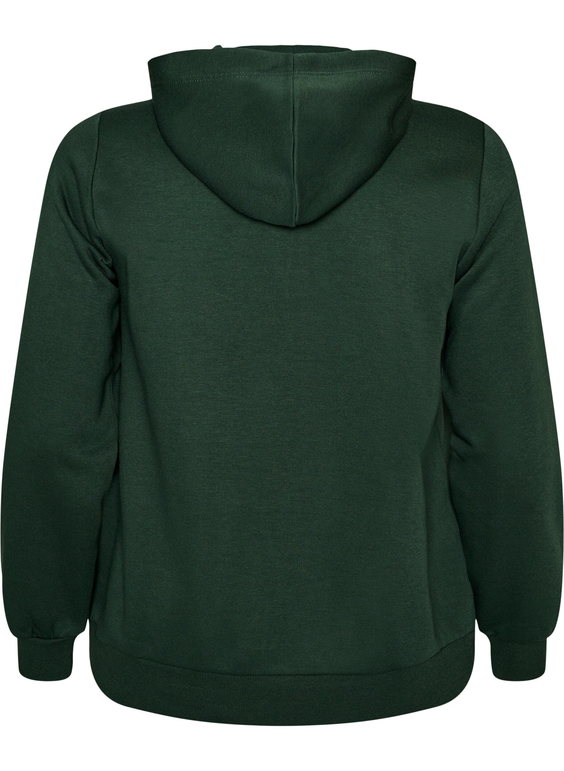 ZizzifashionHooded sweatshirt with a zip and pockets, Green, Packshot image number 1