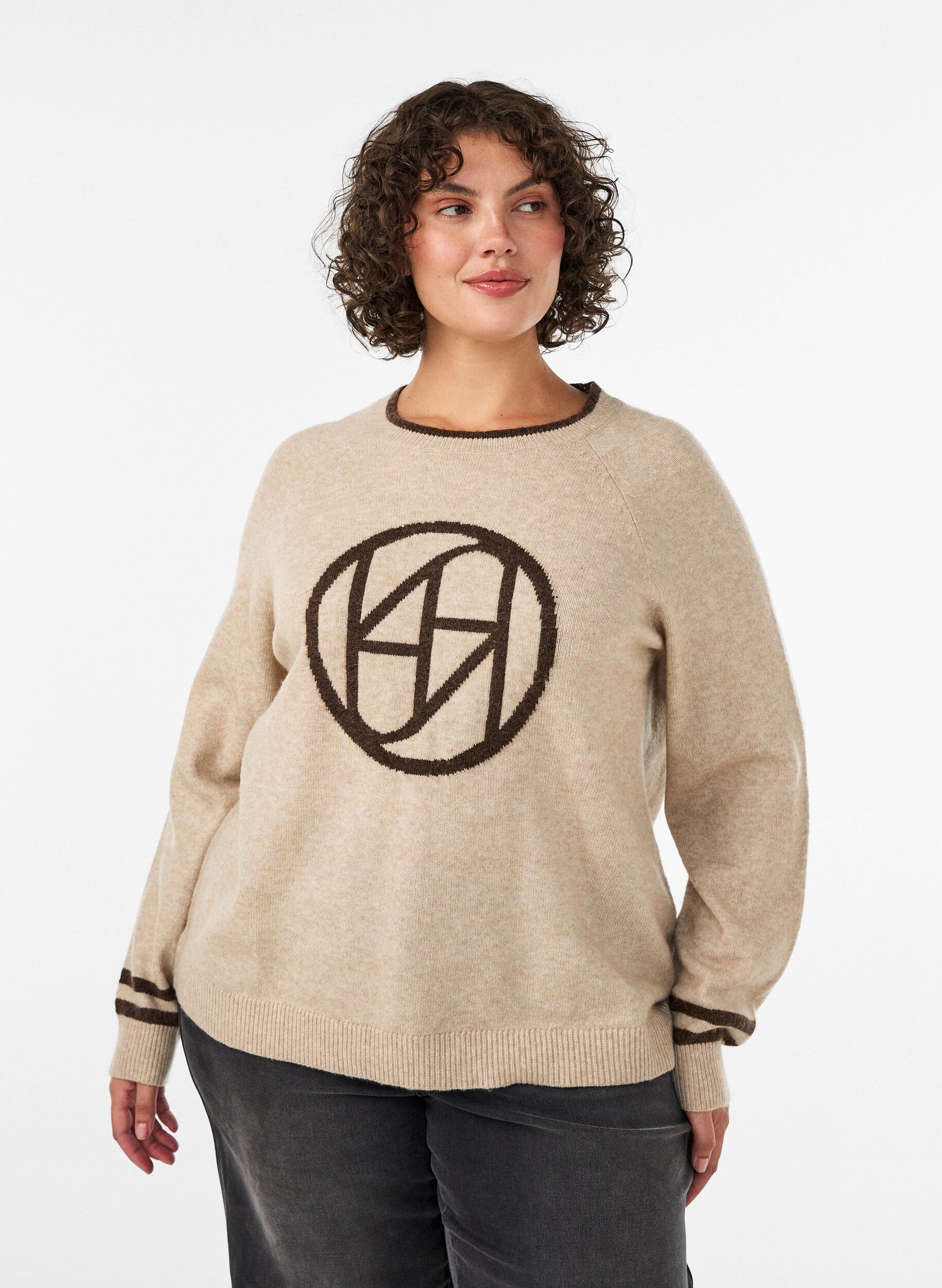 Jumper with logo and contrast stripes, Beige, Model