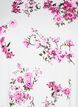 T-shirt with floral print, Pink, Packshot image number 2
