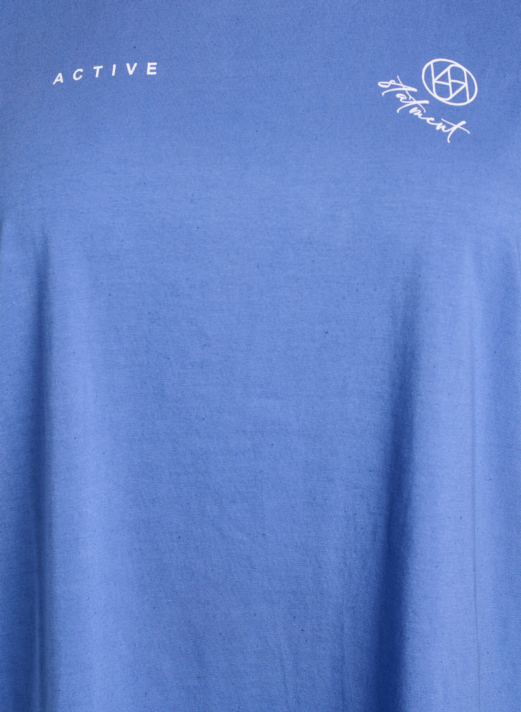 Zizzifashion Organic cotton T-shirt with a small front motif, Blue, Packshot image number 2