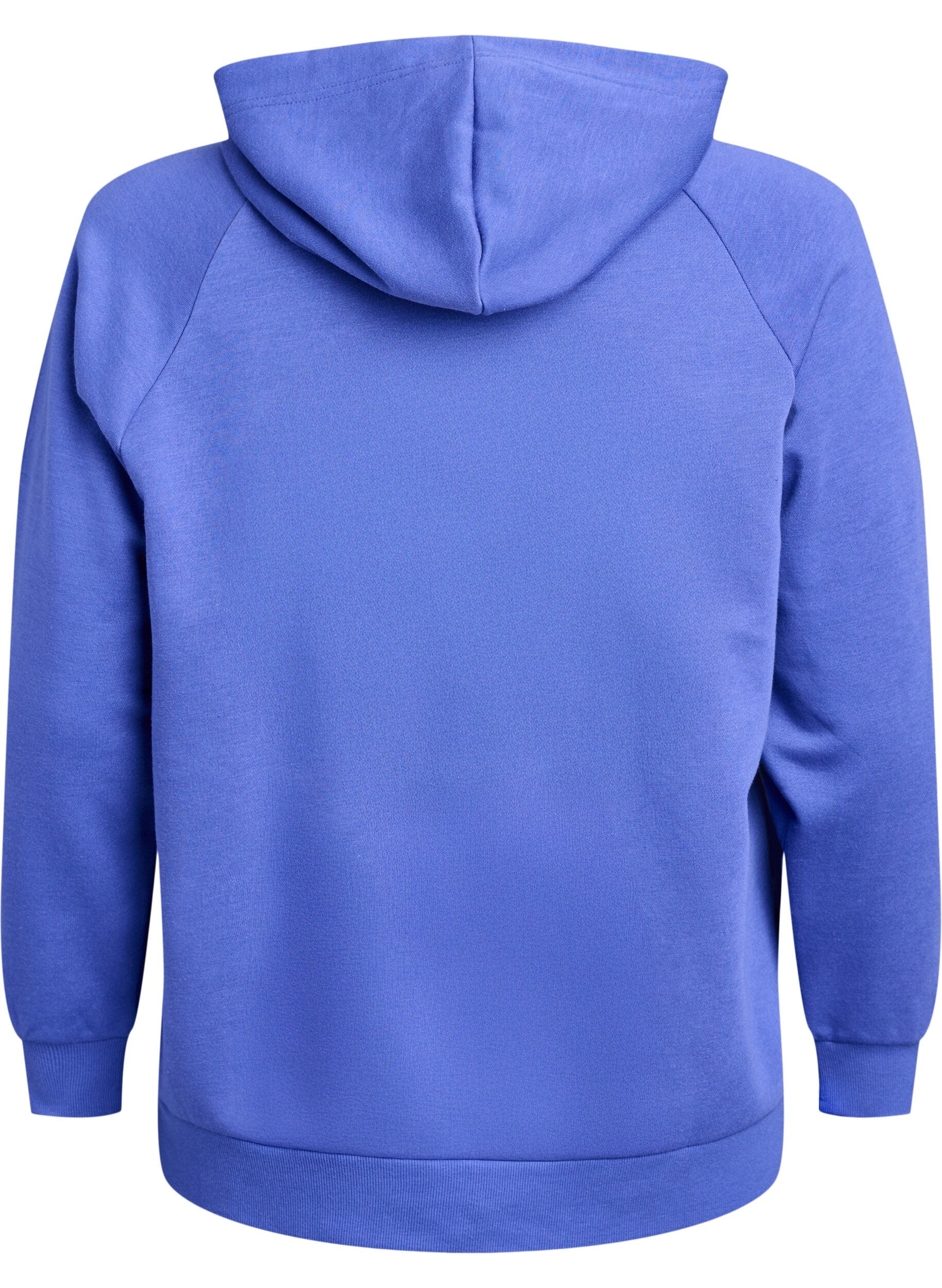 ZizzifashionHoodie with embroidered front motif, Blue, Packshot image number 1