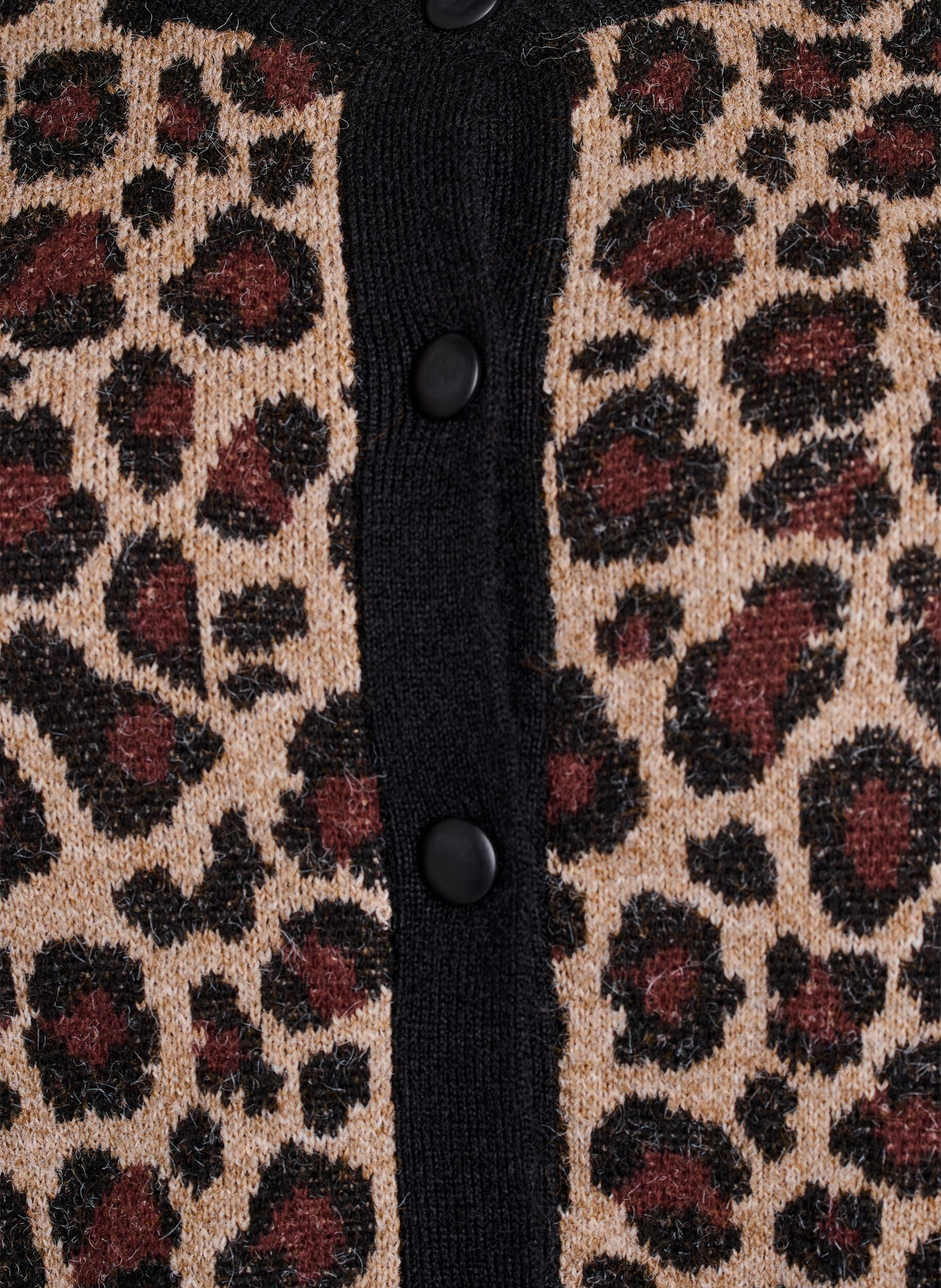Zizzifashion Cardigan with leopard pattern and contrast trim, Black, Packshot image number 2