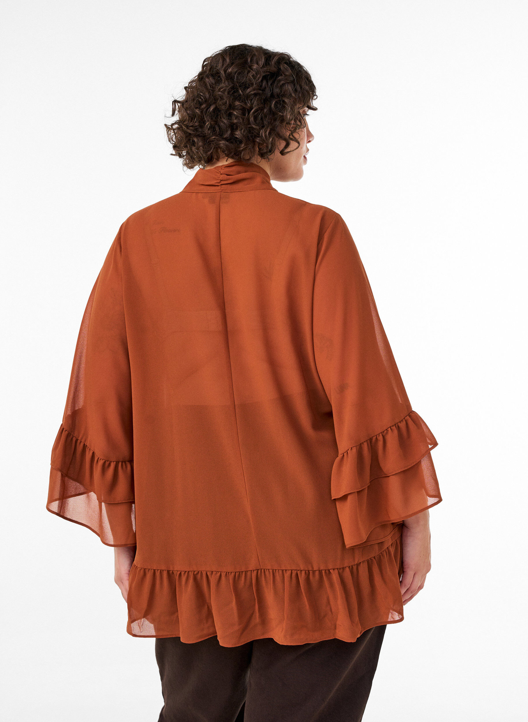 ZizzifashionBlouse with ribbon tie and ruffle details, Brown, Model image number 2
