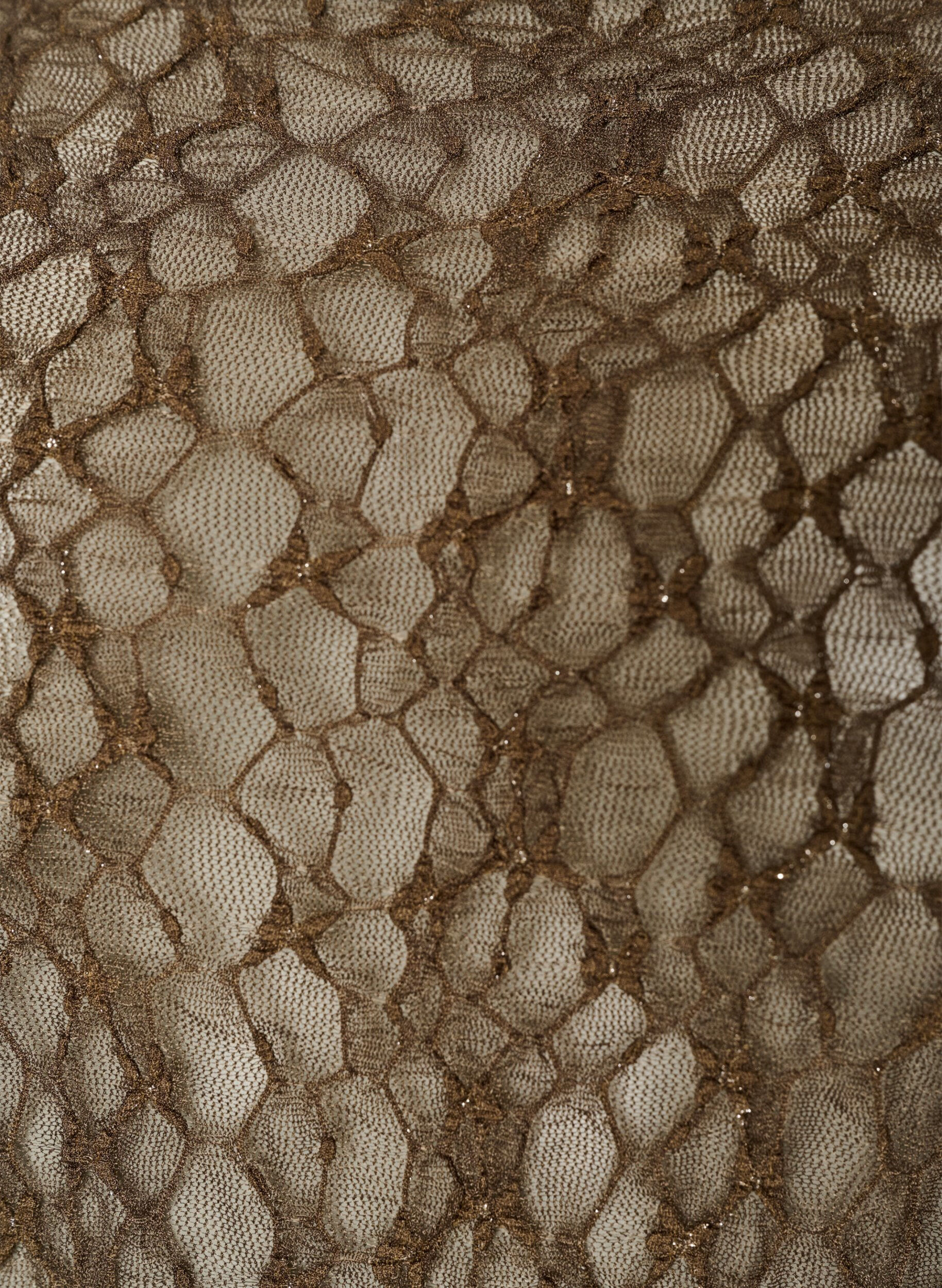 ZizzifashionMesh blouse with pattern and glitter thread, Brown, Packshot image number 2