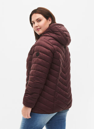 Lightweight jacket with hood, Fudge, Model image number 1