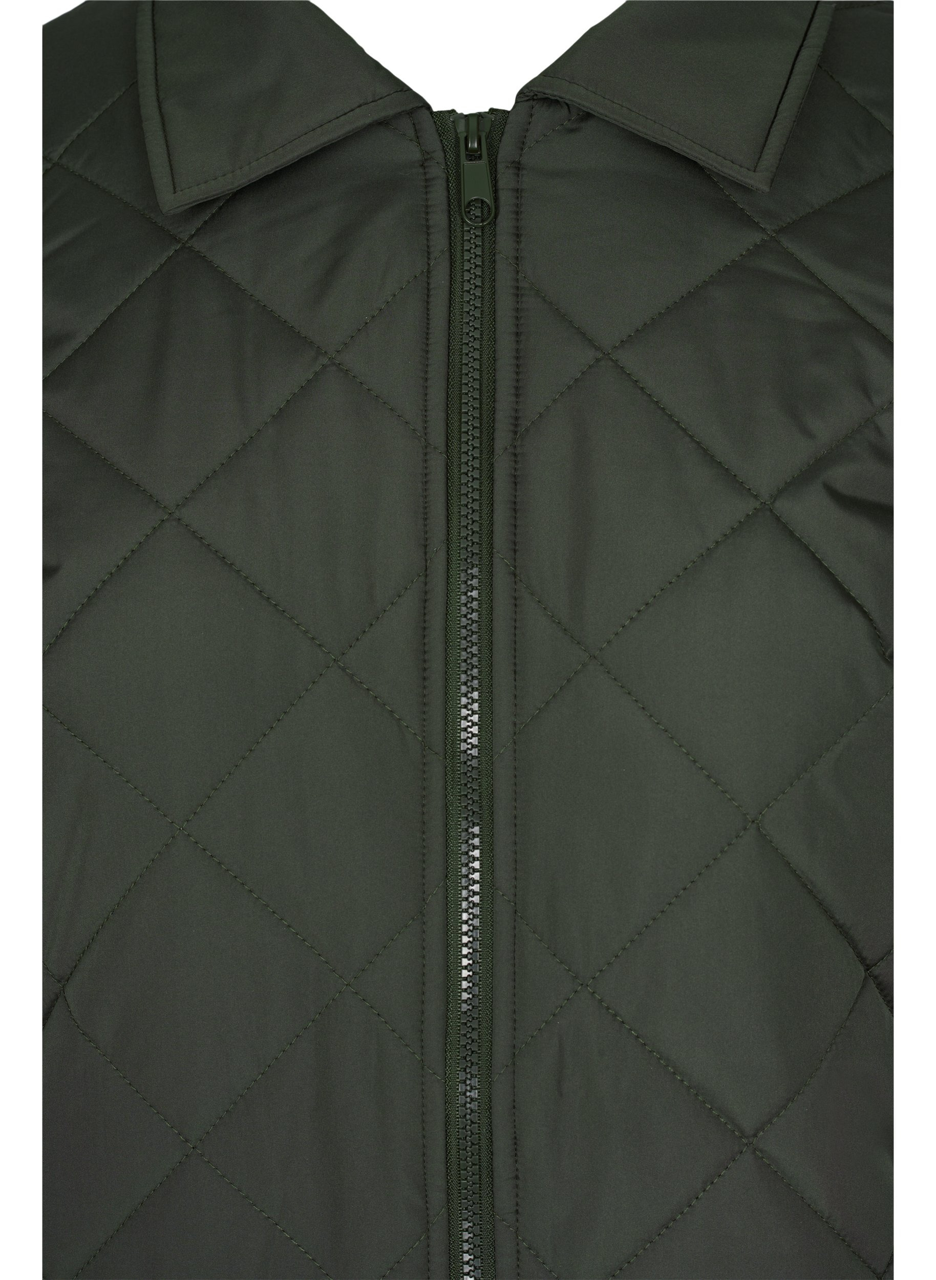 Short quilted jacket with collar, Forest Night, Packshot image number 2