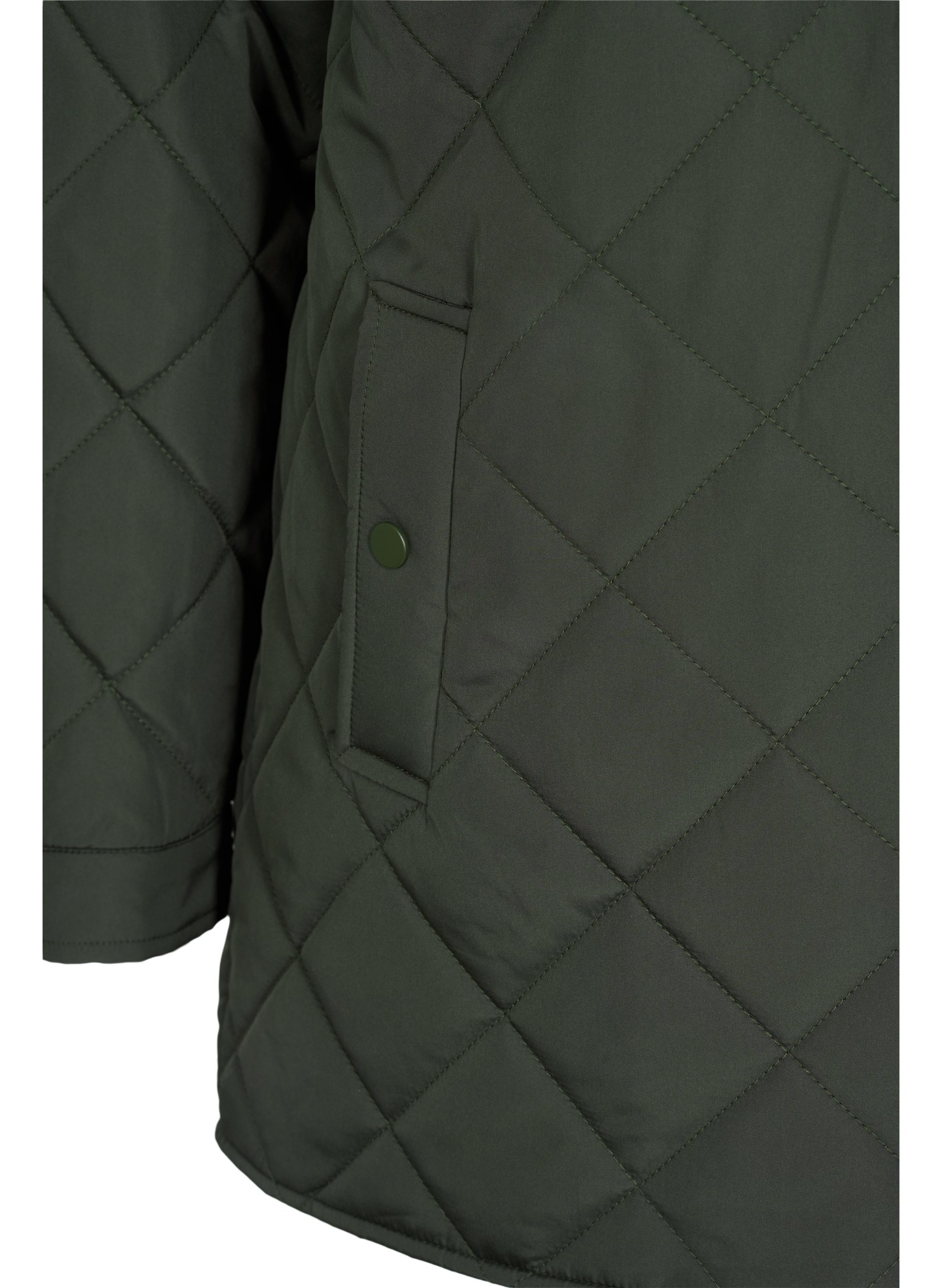 Short quilted jacket with collar, Forest Night, Packshot image number 3